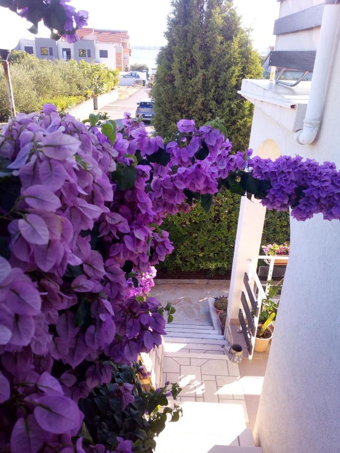 Apartman Milutin Vrsi Exterior photo